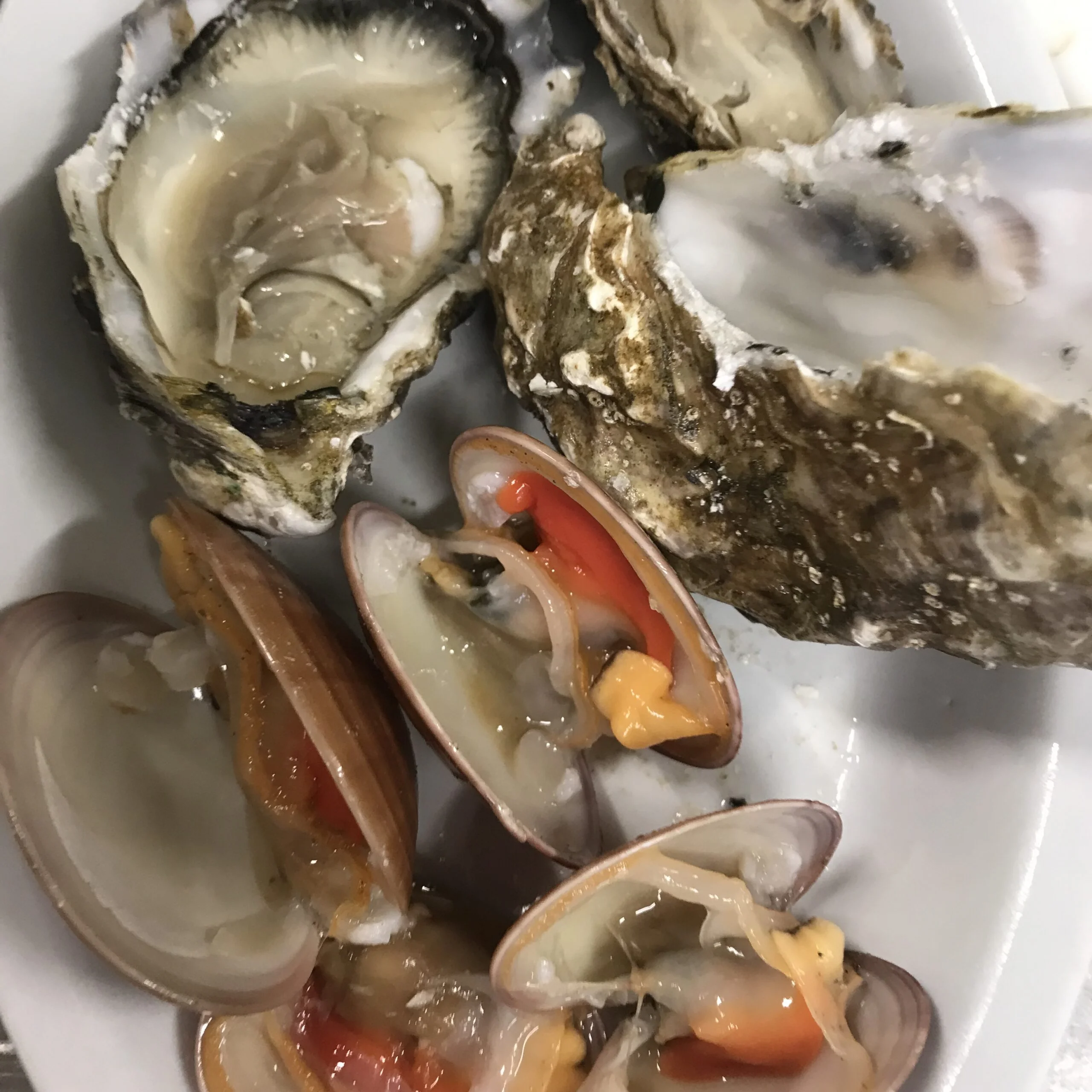 Ostriche e vongole di Alcide